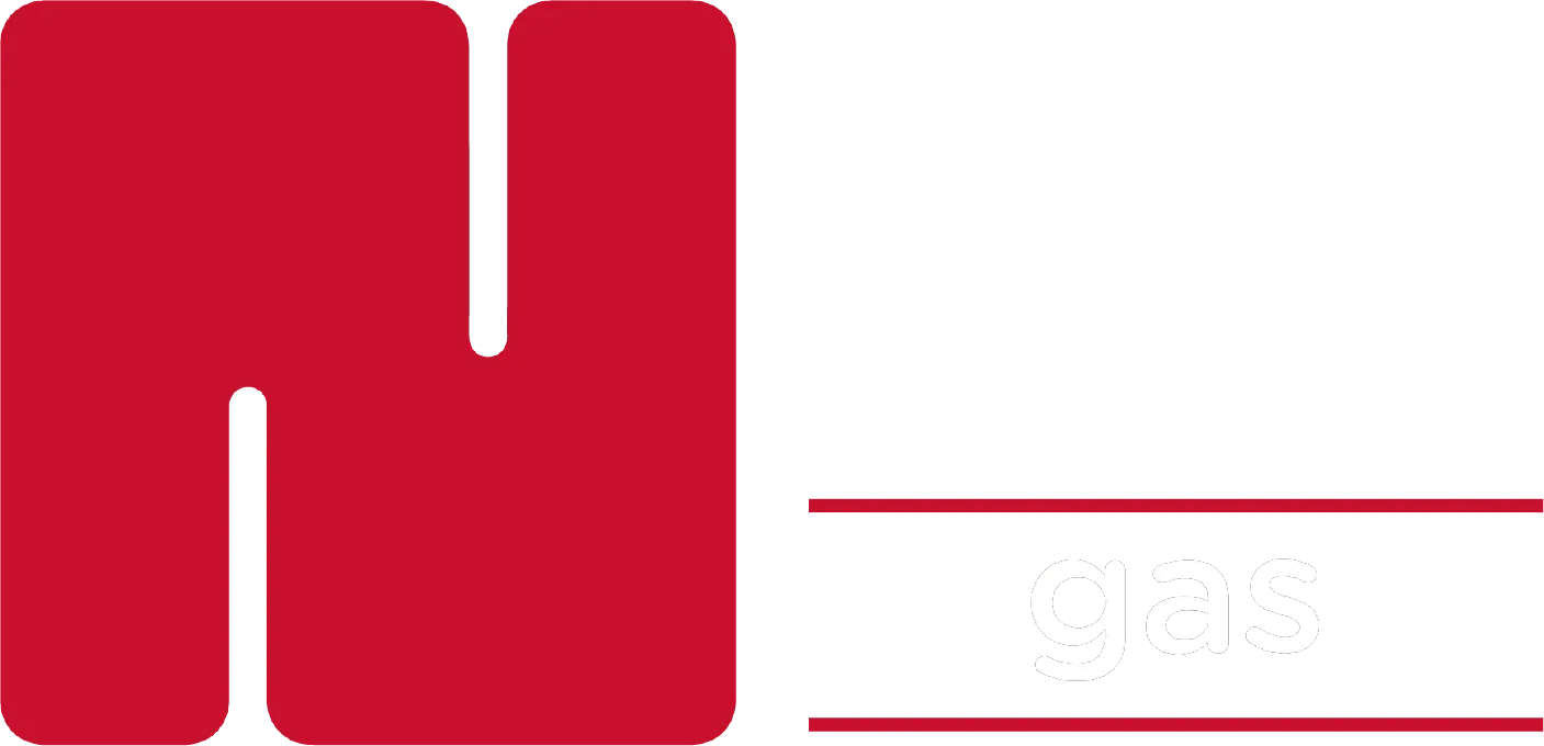 Logotipo - Gas Nieto (Letras en blanco)