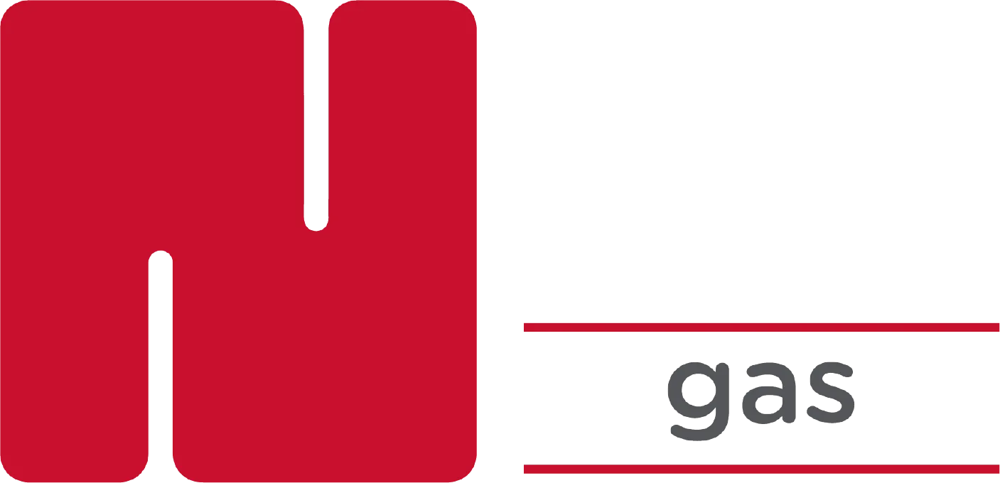 Logotipo - Gas Nieto